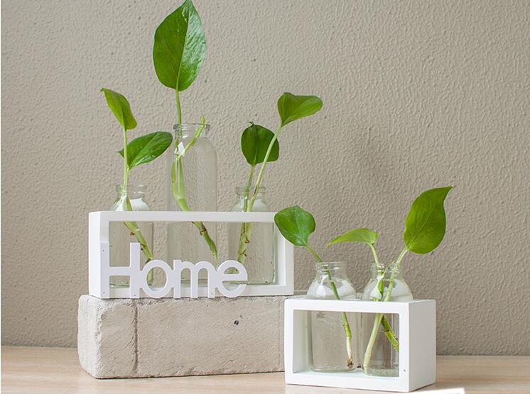 Transparent Glass Hydroponic Vase | Modern Home & Office Décor