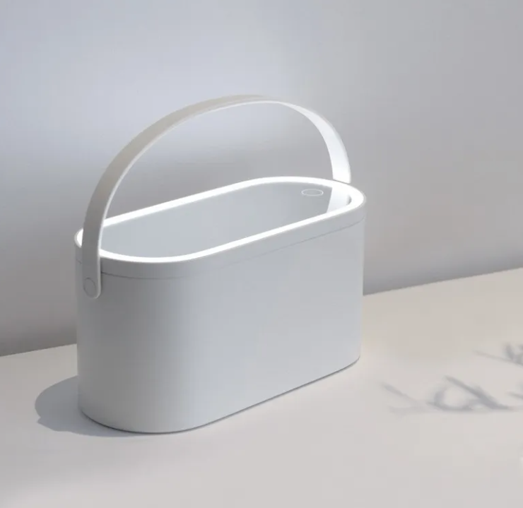 LED Lighted Makeup Mirror & Beauty Storage Box